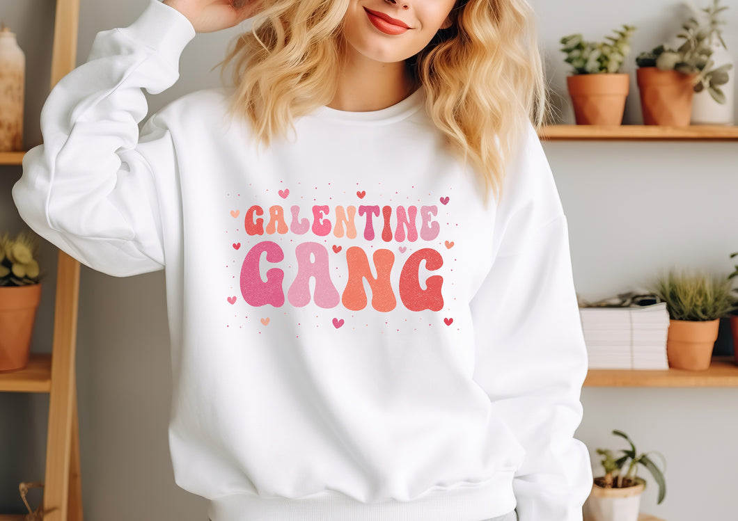 Family/Besties matching Valentine Galentine sweaters sweatshirts jumpers - Galentine Gang